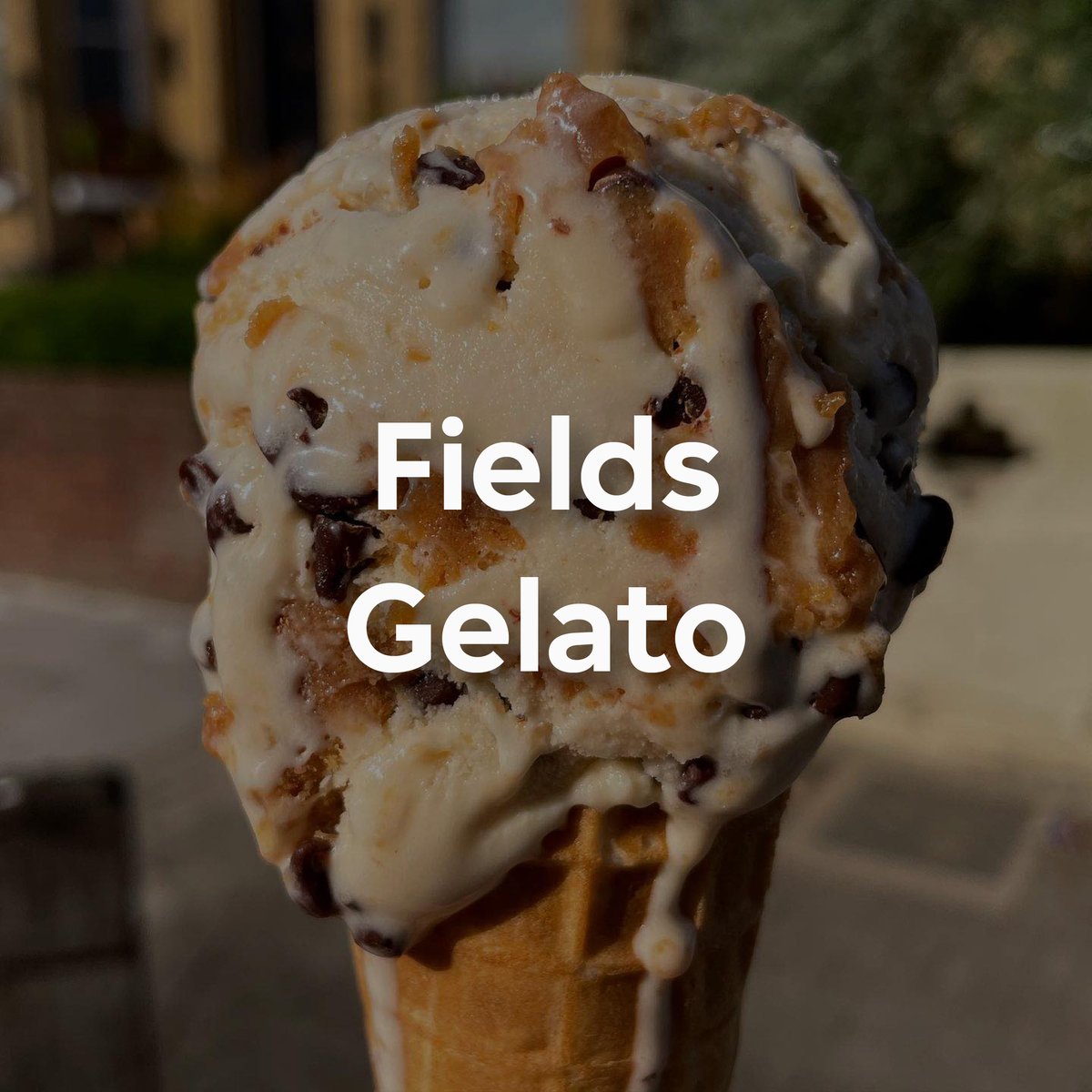 fields gelato-1