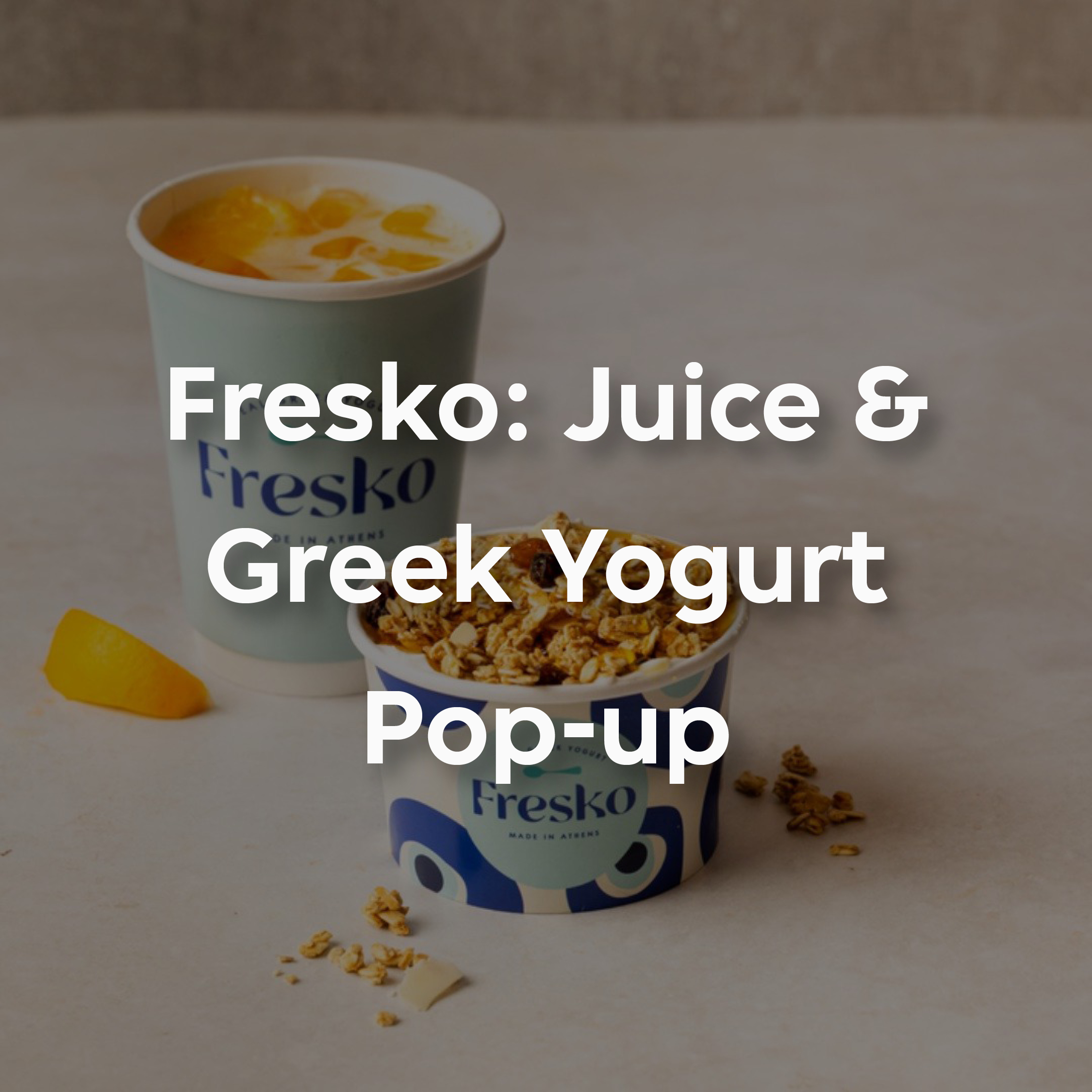 fresko blog email pop up 