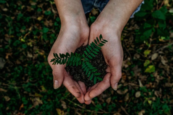 hands holding plant and soil
