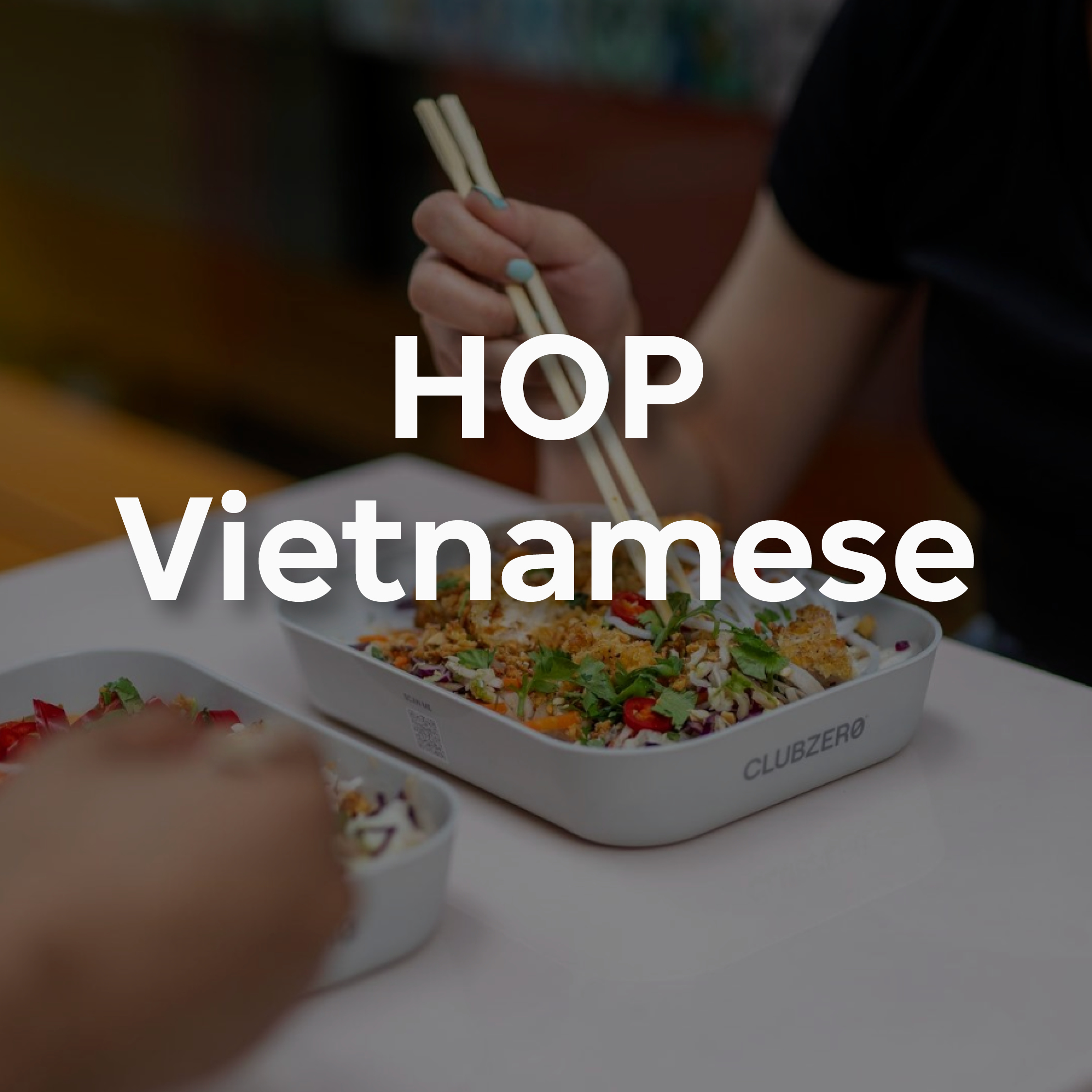 hop viet cz-1