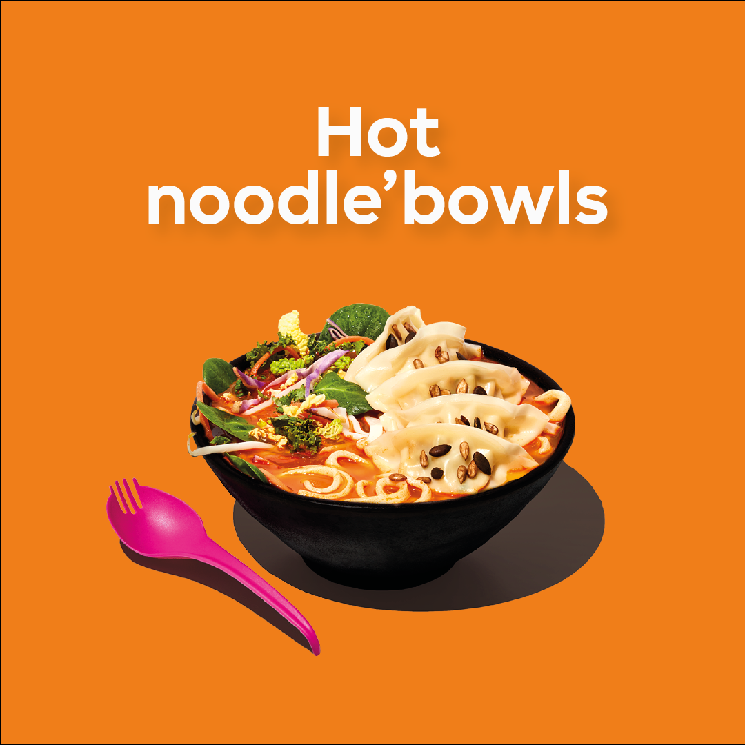 hot noodle bowls 2 