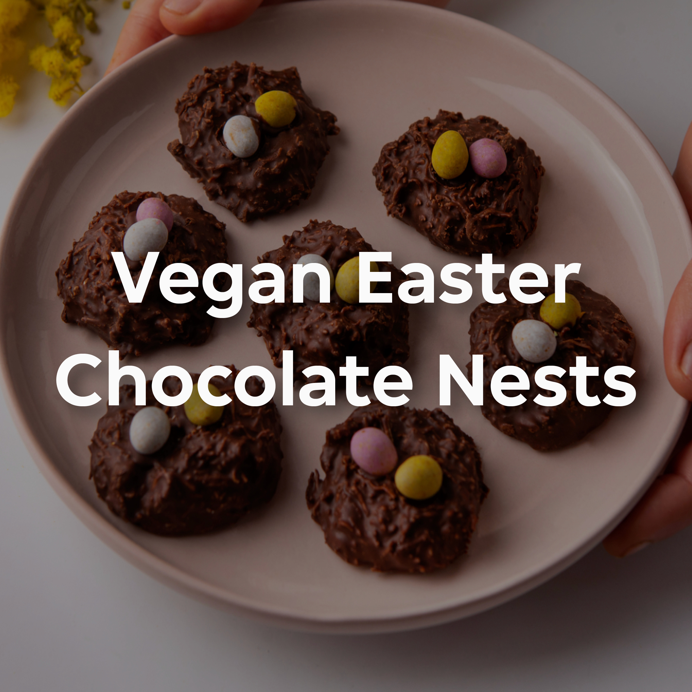 vegan nests easter 2024 